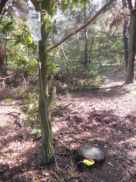 DSCN0468web.jpg