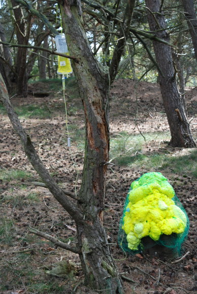DSC_3903web.jpg